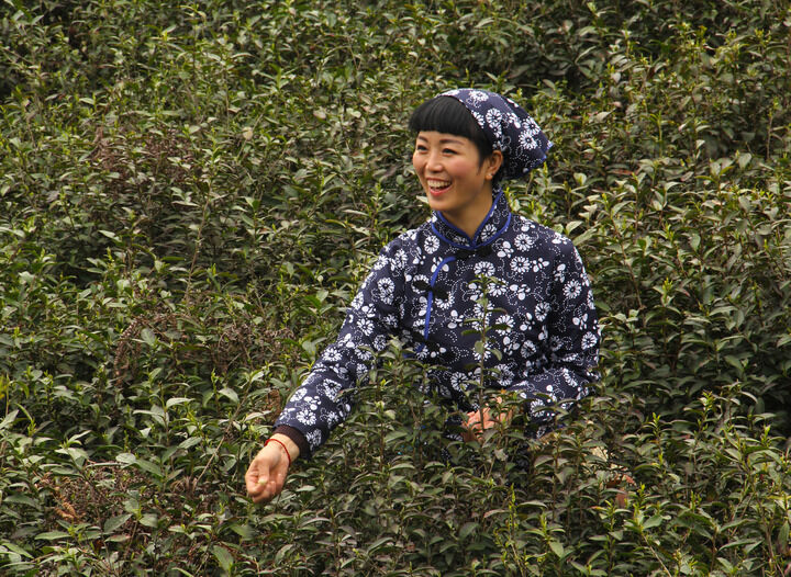 香烟与子弹